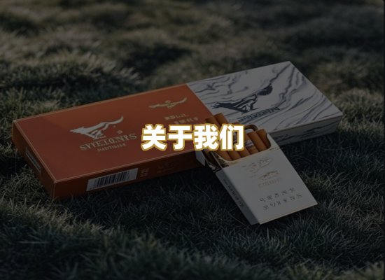 关于我们
